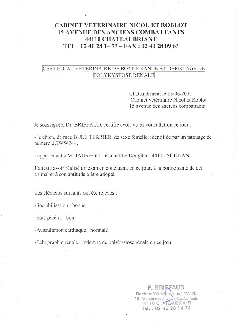 GUIP ECHO RENALE 2014 - Copie.jpg