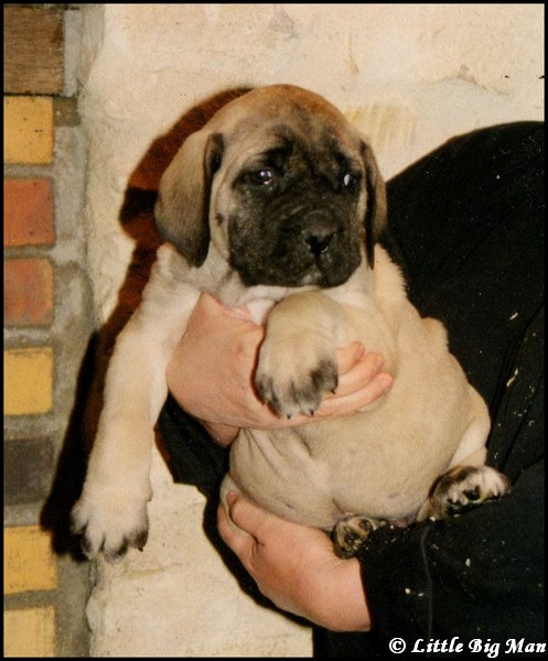 2000 dernière portée LBM 03.jpg
