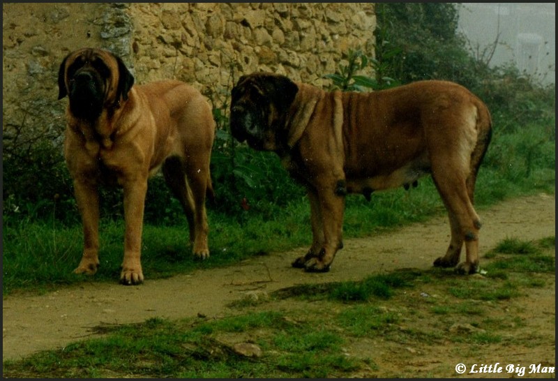 Vénus LBM et Anita du Roi Munoss sa mère.jpg