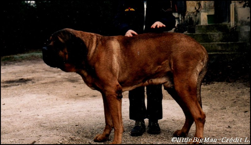 Copie de jericho.jpg
