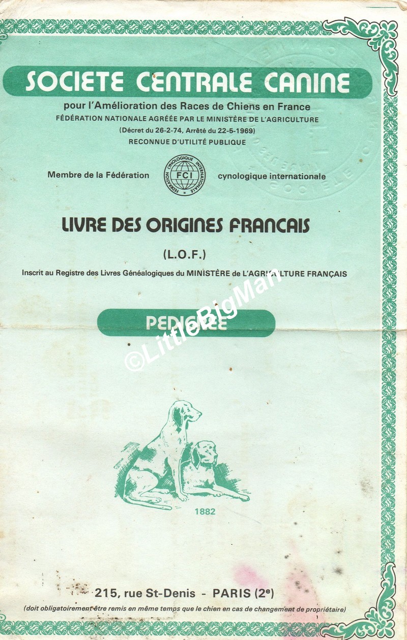 PED 01.jpg