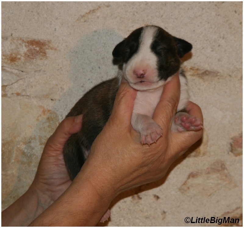 m5.JPG