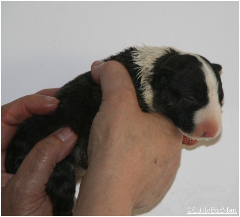 F02b.JPG