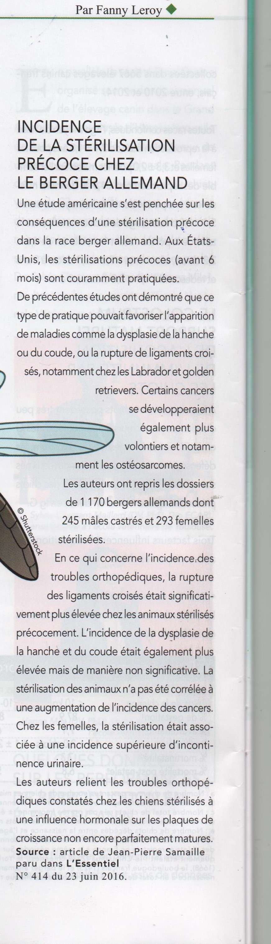 Relation entre stérilisation et dysplasie . Etude chez le berger Allemand .jpg