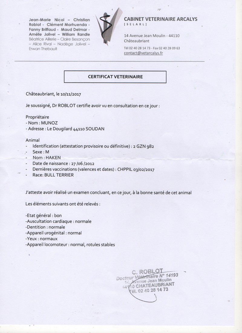 UPC.jpg