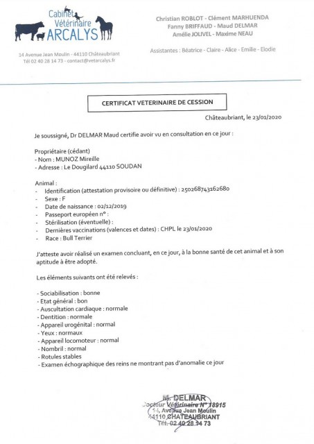 CERTI VETO.jpg