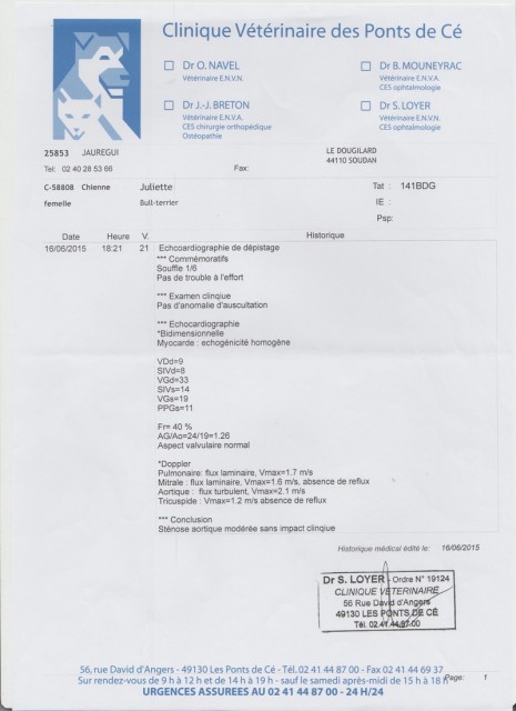 EC HO JULIETTE .jpg