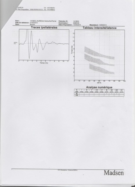PEA 01.jpg