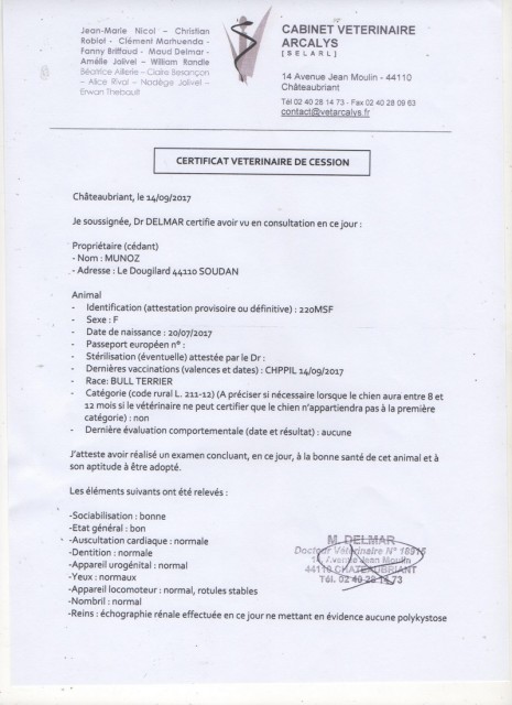 cert bidou.jpg
