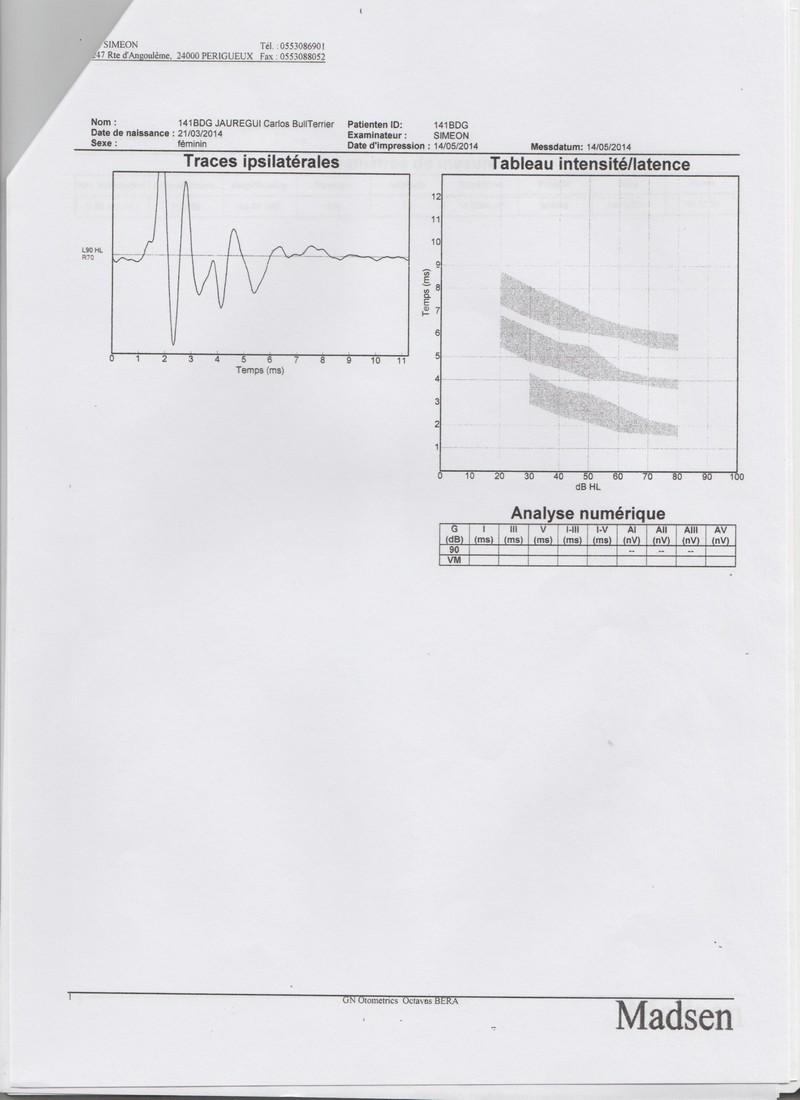 PEA 01.jpg