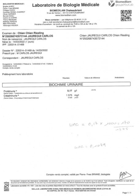 upc.jpg