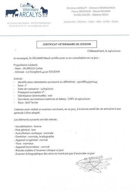 certificat veto.jpg