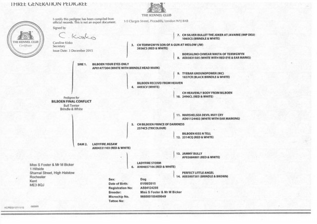 Scan  4.jpg