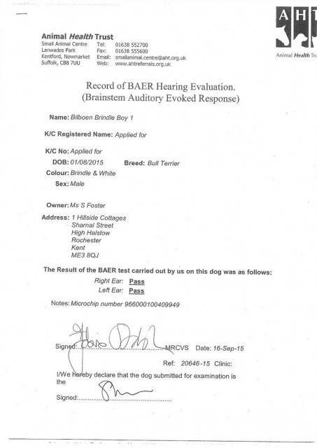 Scan 1.jpg