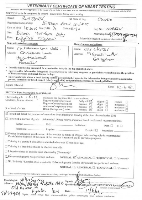 Scan 2.jpg