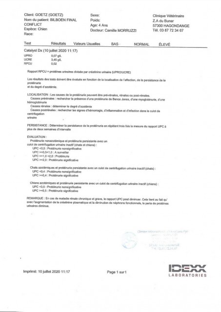 Scan 3.jpg