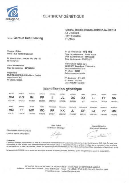 riesling ADN.jpg