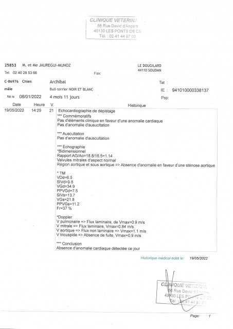 ECHO CARDIAQUE ARCHIBAL.jpg