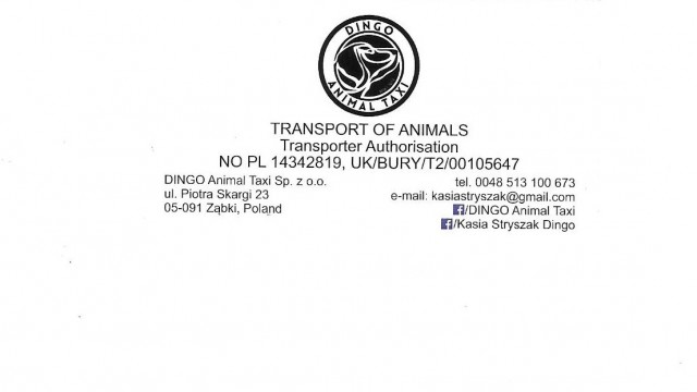 DINGO TRANSPORT.jpg