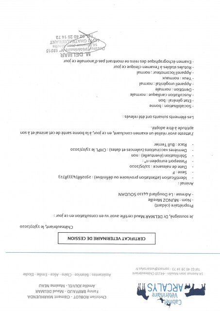 CERTI VETO.jpg