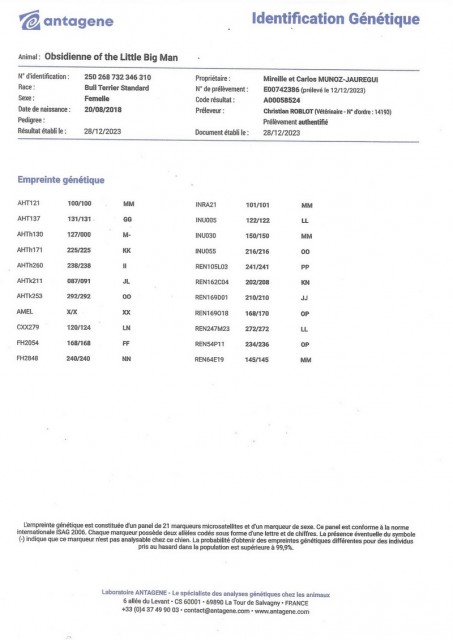 ADN OBSILIENNE.jpg