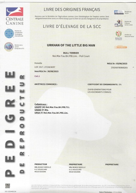 PED 01.jpg