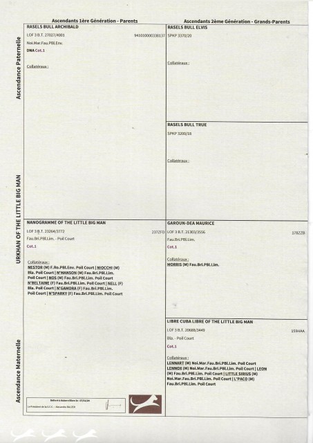 PED 02 (2).jpg