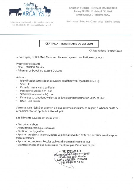 CERTIFICAT VETO.jpg