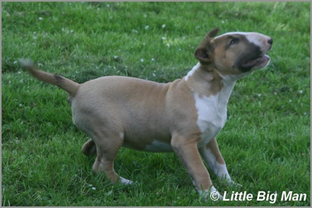 IMG_0012.JPG