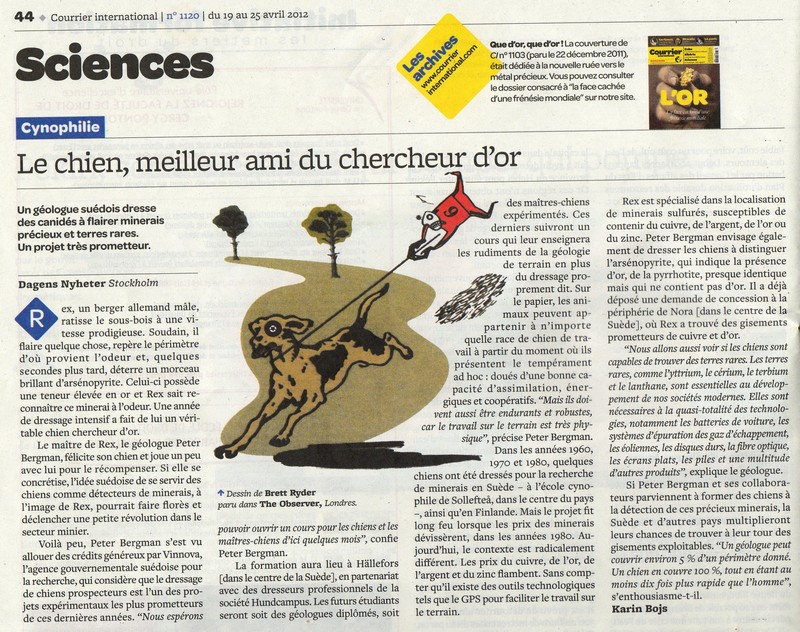 Copie de chiens recherche.jpg
