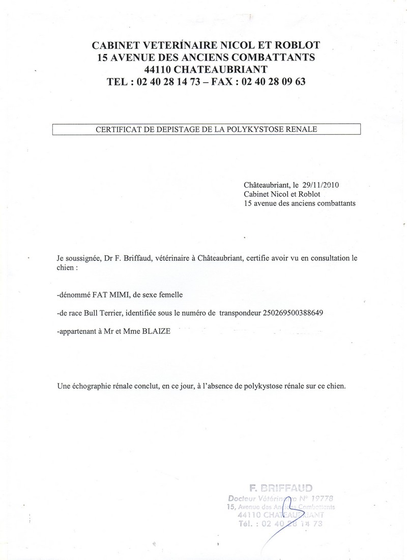 Copie de ECHO-RENALE.jpg