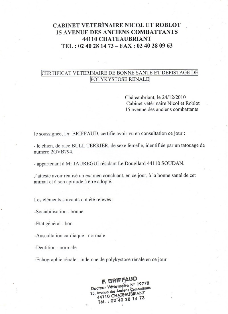 certificat bonne santé reins toutouille.jpg