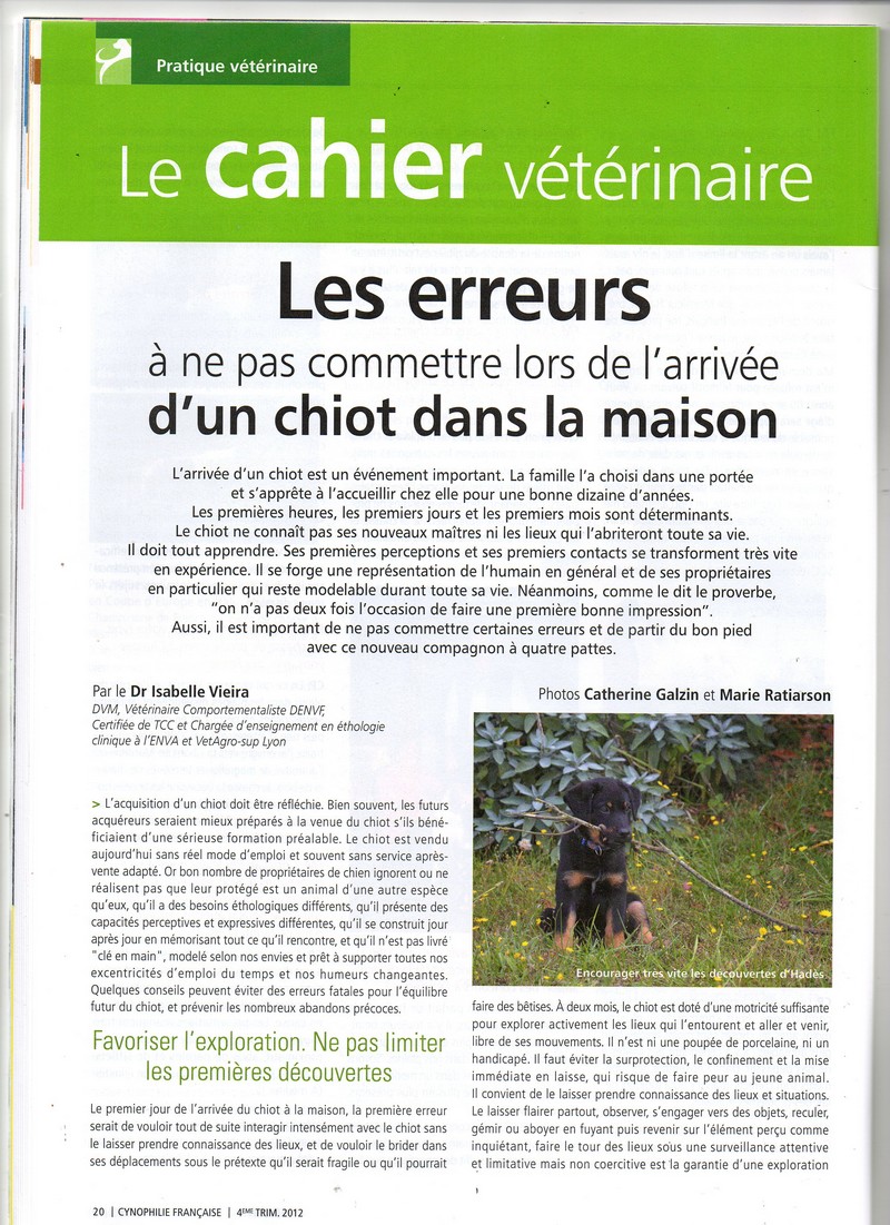 Copie de img804.jpg