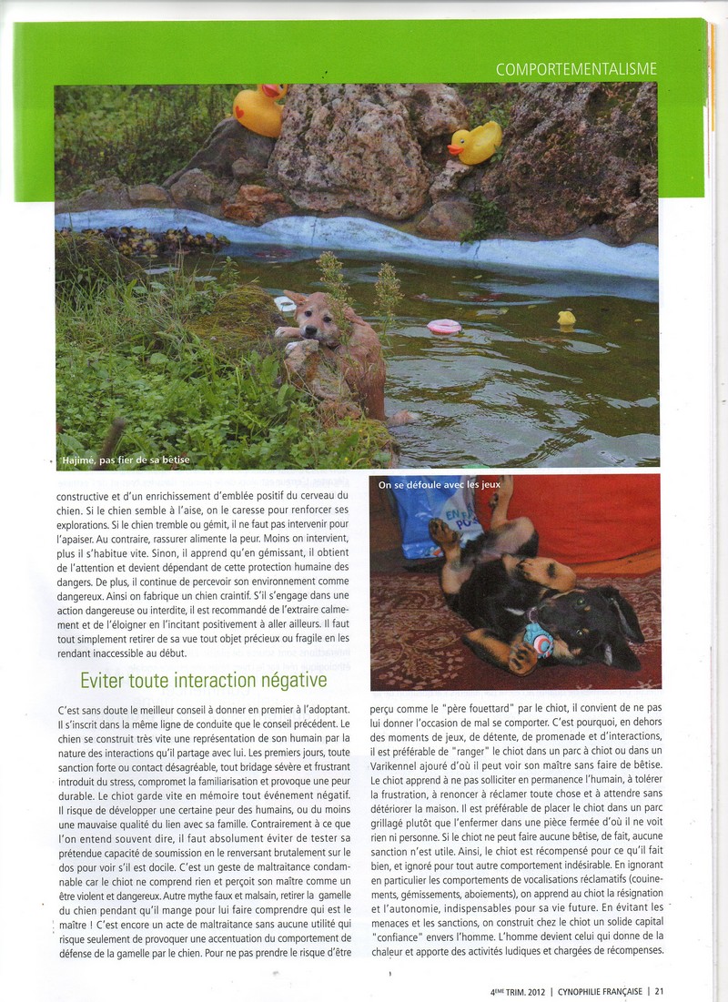 Copie de img805.jpg
