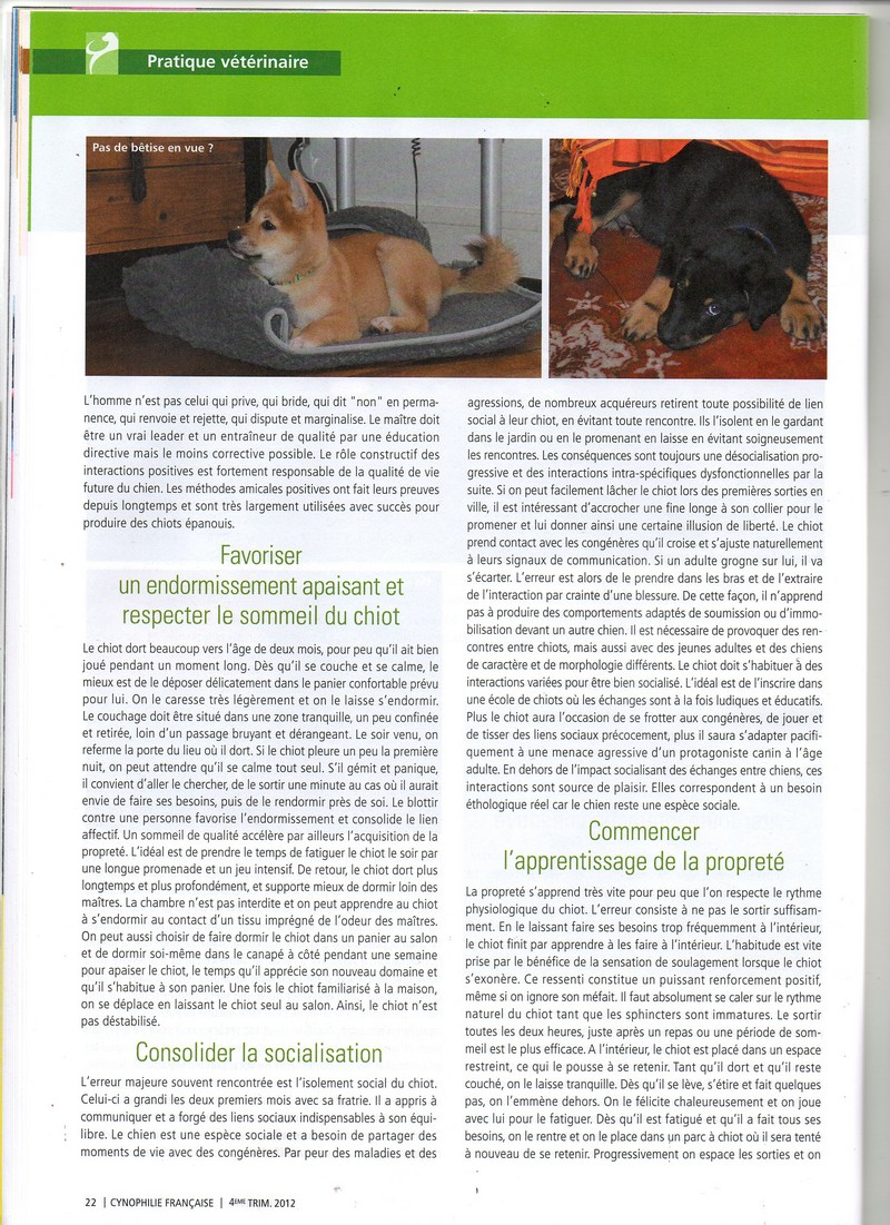 Copie de img806.jpg