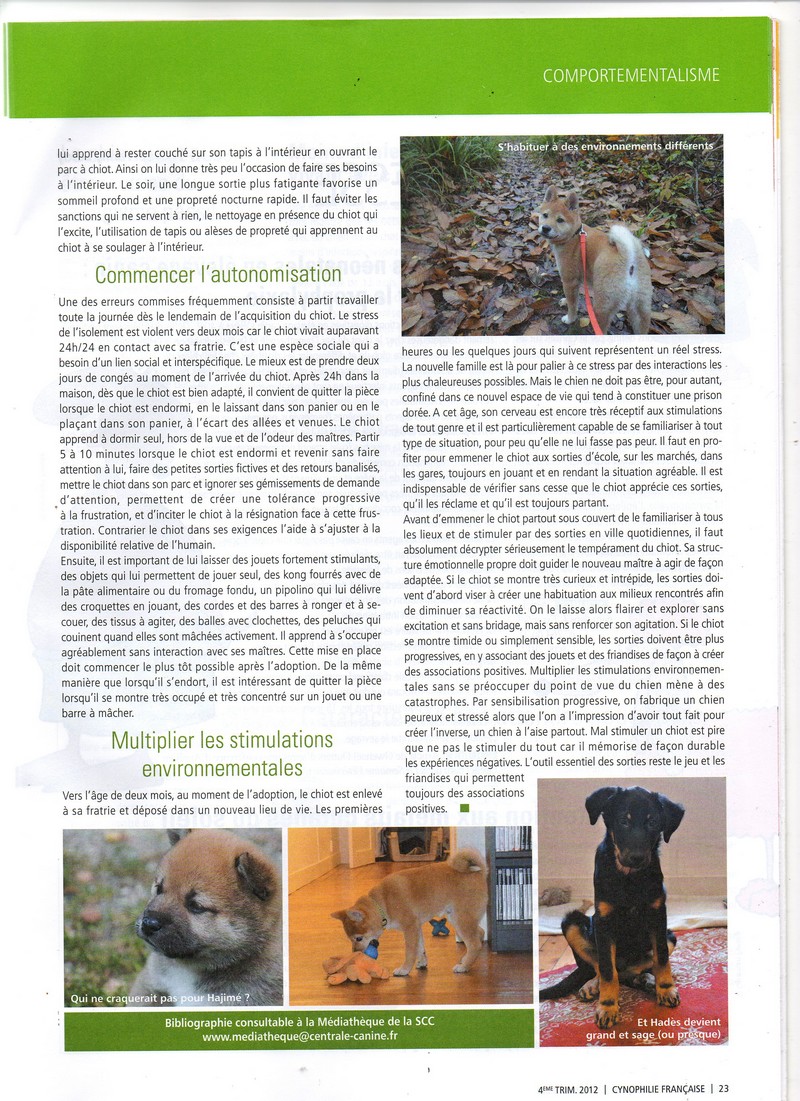 Copie de img807.jpg