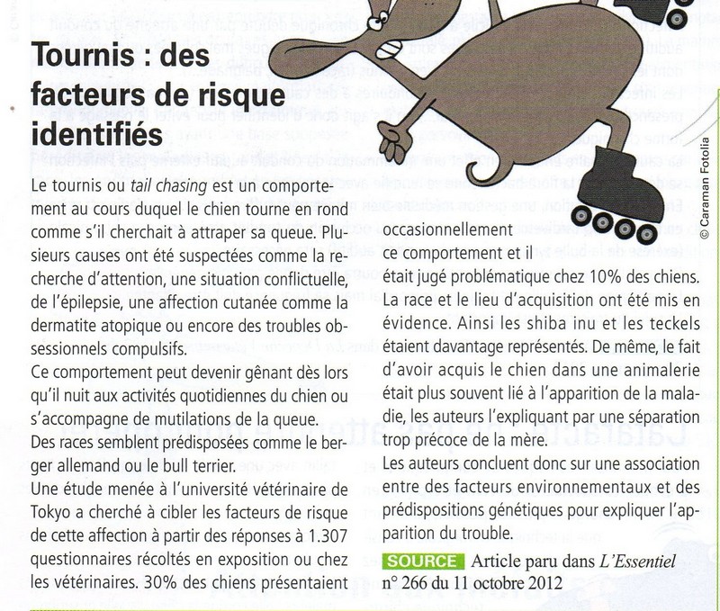Copie de img808.jpg