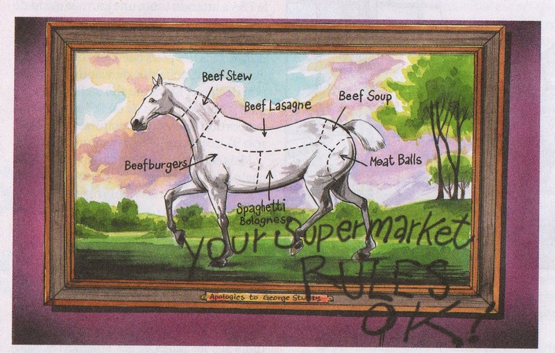 Copie de CHEVAL .....jpg